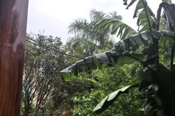 PKW-C01 2025-09-24 观察照片