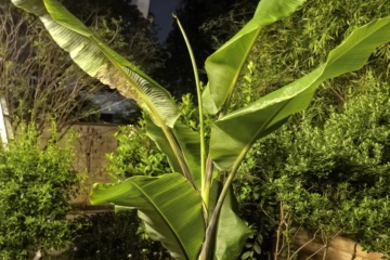PKW-C01 2026-05-26 观察照片