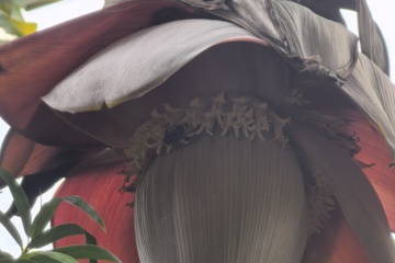 PKW-C01 2026-07-01 观察照片