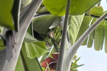 PKW-C01 2026-05-27 观察照片