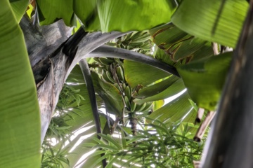 PKW-C01 2026-10-04 观察照片