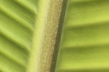 PKW-C01 2025-03-09 观察照片