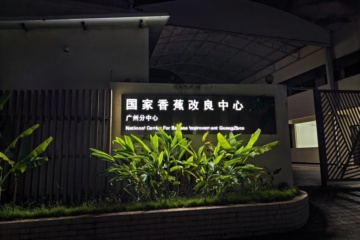 PKW-C01 2026-10-17 观察照片